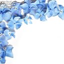 ���� V, ������ - ��������� 24 ������� 2017 � ������ ���� ����������