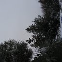 ���� ������, ��������������, 62 ���� - ��������� 7 ������ 2017 � ������ �������...�