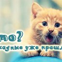  ,  -  19  2016    