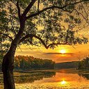 ���� �����, ����� - ��������� 23 ������� 2016 � ������ ���������