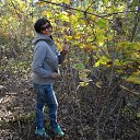 ���� �������, ��������� - ��������� 4 ������� 2016 � ������ ���� ����������