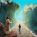 ���� �������, ���������, 59 ��� - ��������� 9 ������� 2017 � ������ ���� ����������