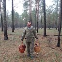 ���� �������, ������������, 66 ��� - ��������� 1 ������ 2017 � ������ �2016�