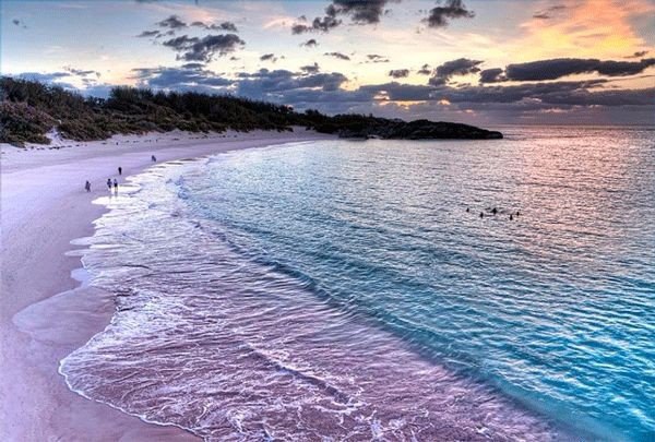      : Pink Sands Beach,  ,  .  ,  ... - 3