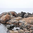 ���� ����, ������������, 59 ��� - ��������� 15 ����� 2017 � ������ ���� ����� 2017�