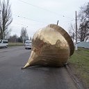 ���� ��������, ���������� - ��������� 24 ������� 2016 � ������ ������ ��������