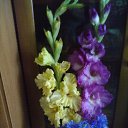 ���� Nadezhda, ������, 64 ���� - ��������� 25 ������ 2017 � ������ ���� ����������