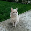 ���� Kirill, ������, 43 ���� - ��������� 29 �������� 2016 � ������ ������ ��������