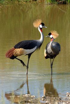 ����� ������� - 11 �������� 2016 � 04:29 - 2