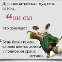 ���� ������, �����-���������, 56 ��� - ��������� 14 ����� 2017