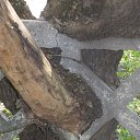 ���� ��������, ������, 53 ���� - ��������� 16 ������ 2017 � ������ �������