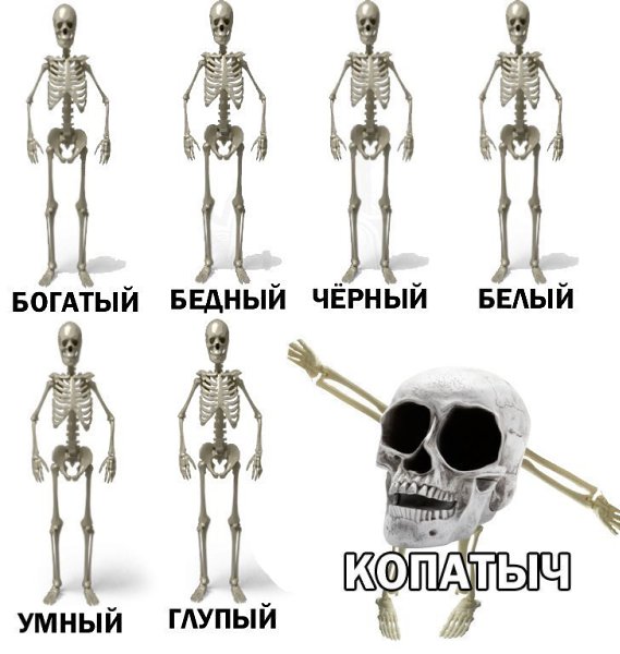    :D - 8  2016  15:36
