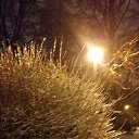 ���� ����, ������ - ��������� 13 ������ 2016 � ������ ���� ����������