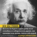 ���� Mao Mao, ������� - ��������� 11 ������� 2016 � ������ ���� ����������