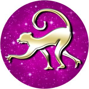 ФАКТЫ ОБ ОБЕЗЬЯНАХ.Обезьянам смешно слушать ложь, когда они знают правду. А перебивать жалко - ...
