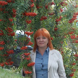 �������, ������, 49 ���