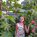  , -, 68  -  20  2016   