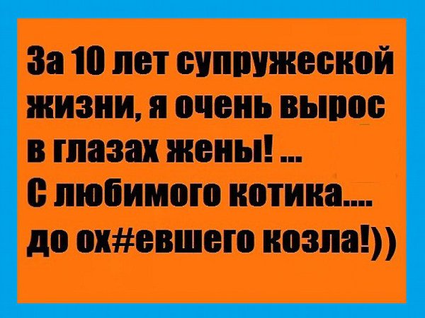 ��� ������ ��� - 3 ������ 2017 � 13:07