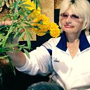 ���� �����, ������� - ��������� 20 �������� 2016 � ������ ���� ����������