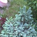 ���� �����, ������� - ��������� 29 ����� 2017 � ������ ���� ������� ����