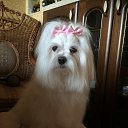 ���� ������( ������!!!), �����, 52 ���� - ��������� 25 �������� 2016 � ������ ���� ����������