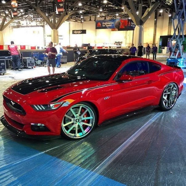 Mustang' 2015   . - 4