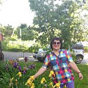 ���� �������, ������������ - ��������� 29 ��� 2017 � ������ ��������� �� �������