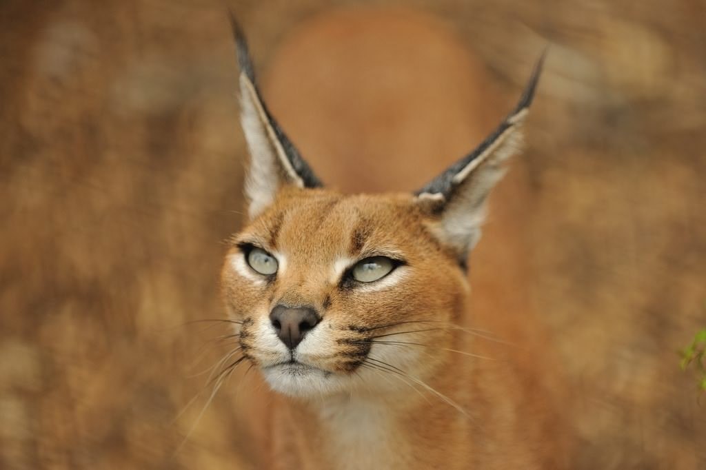       - 20  2017  14:08 - 5