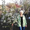 ���� ����, ������ - ��������� 8 ��� 2017 � ������ ���������� ������