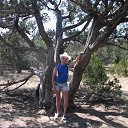 ���� Sheriff, ������� - ��������� 2 �������� 2017 � ������ ���� ����������