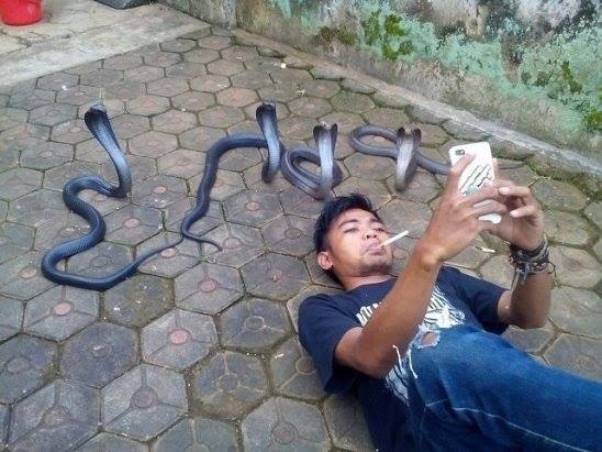   .............