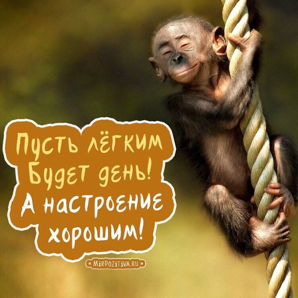 ����� � ������� - 8 ������� 2017 � 07:02
