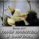 ���� Seagull - Larum, ����������� - ��������� 24 ������ 2017 � ������ ������ ��������