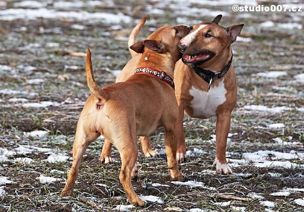   -!))).   ,     [id137058571| ] ...