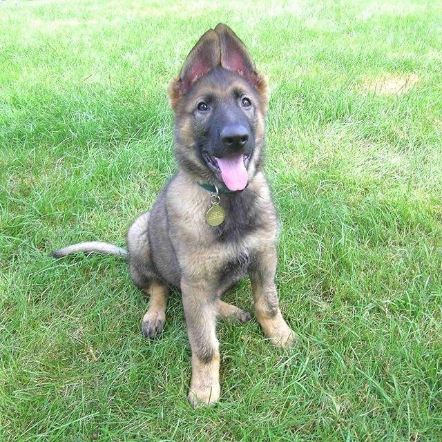 ���� �� �������!