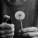 ���� ����, ��������, 50 ��� - ��������� 15 ���� 2017 � ������ ������ ��������