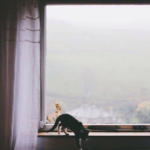 Если бы его вообще не было... - И вот ей сорок лет, у нее астма, у нее панические атаки, у нее такая ...