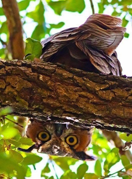 ��� � ��� � � ��������, � ���������� �����. �, � ���� ��������, �������� �� ���: �� � ��� � �� ����� ... - 3