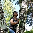 ���� �����, ����������, 104 ���� - ��������� 2 ��� 2017