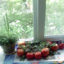 ���� Ali, ������ ��������, 62 ���� - ��������� 6 ���� 2017 � ������ ���� ����������