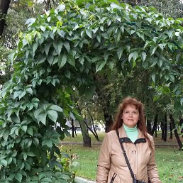 ���� ����, ������, 46 ��� - ��������� 16 ��� 2017