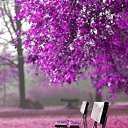 ���� ������, ���������� - ��������� 6 ���� 2017 � ������ ������ ��������