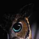 ���� Yuriy, ������, 71 ��� - ��������� 4 �������� 2017 � ������ �������