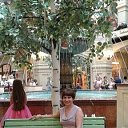 ���� �������, ���������������, 68 ��� - ��������� 13 �������� 2017 � ������ ���� ����������