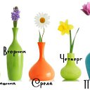 ���� ���������, ������ - ��������� 6 ��� 2017 � ������ �������� ��������