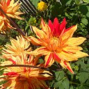 ���� �����, ����� - ��������� 3 ������ 2017 � ������ ���� ����������