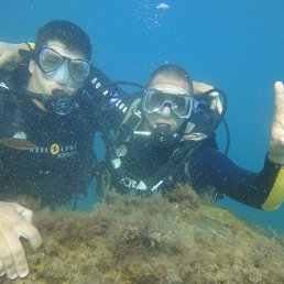 ���� �����, ���������, 43 ���� - ��������� 4 ���� 2017