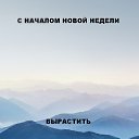 ���� ����� �������, ���������, 44 ���� - ��������� 21 ������� 2017 � ������ ������ ��������