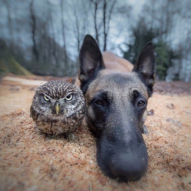  Tanja Brandt