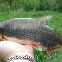 ���� ������, ����� ������, 58 ��� - ��������� 30 ���� 2017 � ������ ������ ������� 2017�